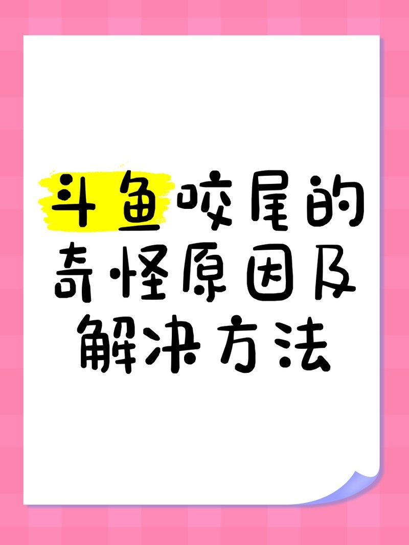 龍魚咬尾能自愈嗎？（資深鏟屎官揭秘龍魚咬尾后能否自愈取決于多種因素）