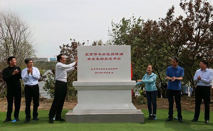 放生鱘龍魚需要哪些手續（【小課堂】放生鱘龍魚需要哪些手續）