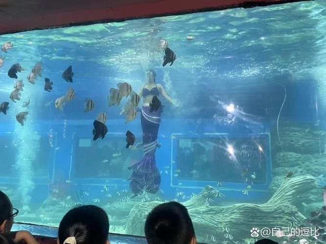 秦皇島龍魚專賣店：秦皇島魚缸配件專賣店