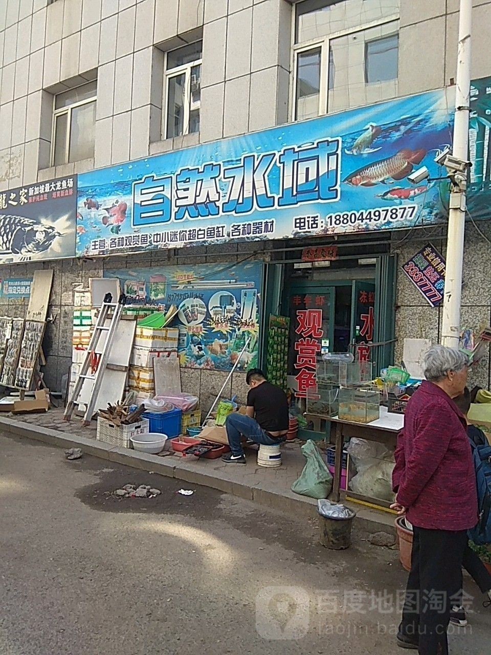八道江哪個水族館龍魚好？祥龍魚場龍魚（八道江哪個水族館龍魚好）