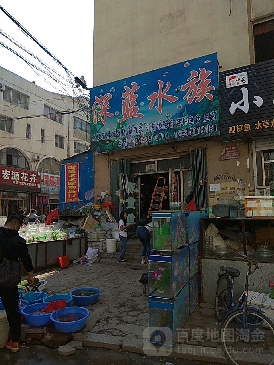 八道江哪個水族館龍魚好？祥龍魚場龍魚（八道江哪個水族館龍魚好）
