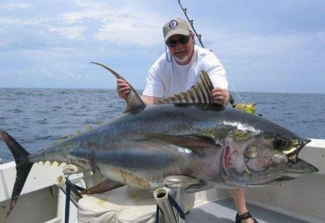 海底飛龍魚有哪些品種（海底飛龍魚品種介紹：海底飛龍魚品種及其特征及其特征）