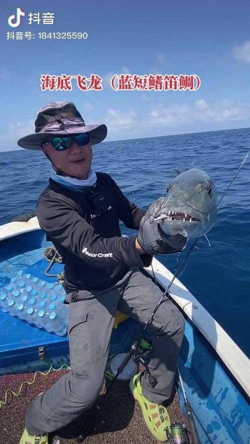 海底飛龍魚有哪些品種（海底飛龍魚品種介紹：海底飛龍魚品種及其特征及其特征）