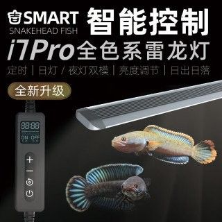 雷龍專用燈一般用多少瓦的（雷龍專用燈怎么選）