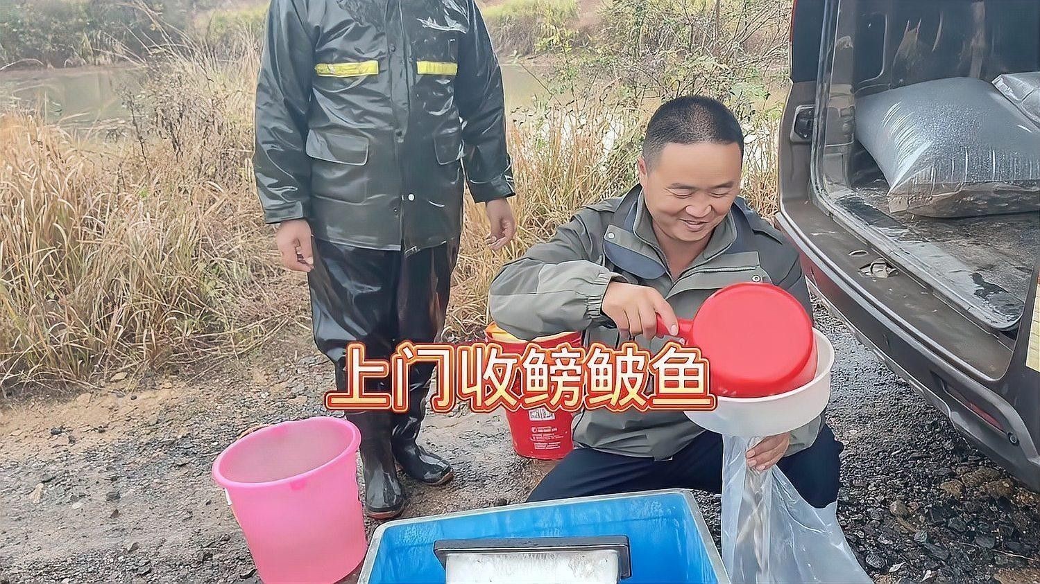 如何判斷鳑鲏?mèng)~是否新鮮？（如何判斷[需手動(dòng)填充][需手動(dòng)填充]魚新鮮度）
