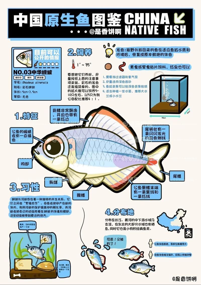 如何判斷鳑鲏?mèng)~是否新鮮？（如何判斷[需手動(dòng)填充][需手動(dòng)填充]魚新鮮度）