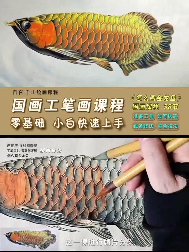 金龍魚增色需要多長時間？（開封市社科聯揭秘金龍魚養多久才上色文瑜塑泥手記）