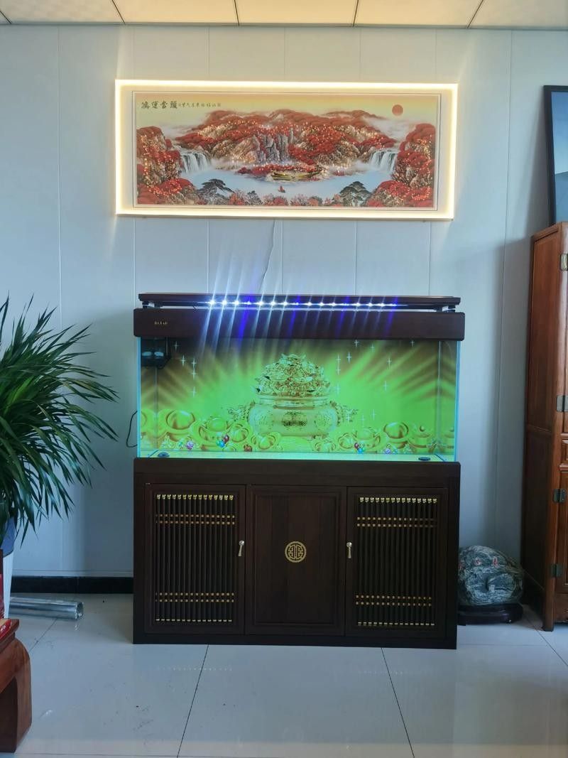 魚缸的尺寸如何選擇？（選擇魚缸尺寸的主要因素）