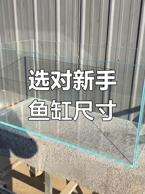 魚缸的尺寸如何選擇？（選擇魚缸尺寸的主要因素）