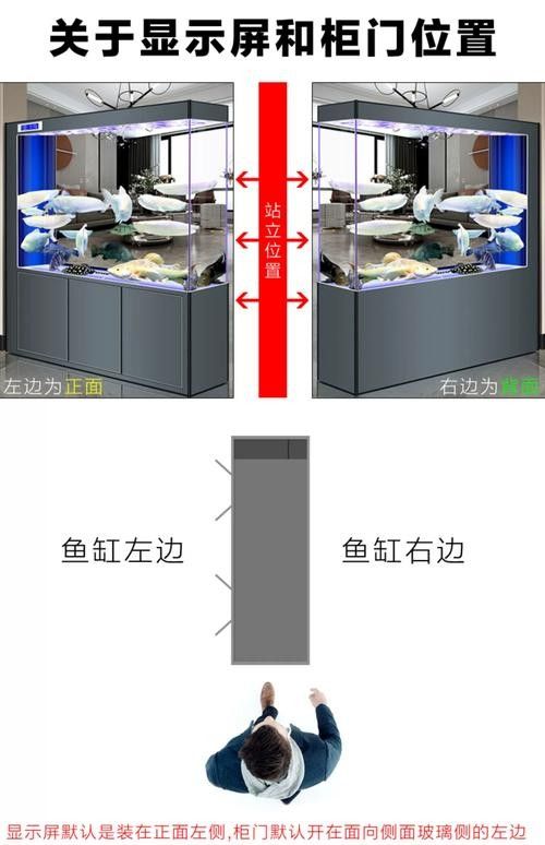 魚缸的尺寸如何選擇？（選擇魚缸尺寸的主要因素）