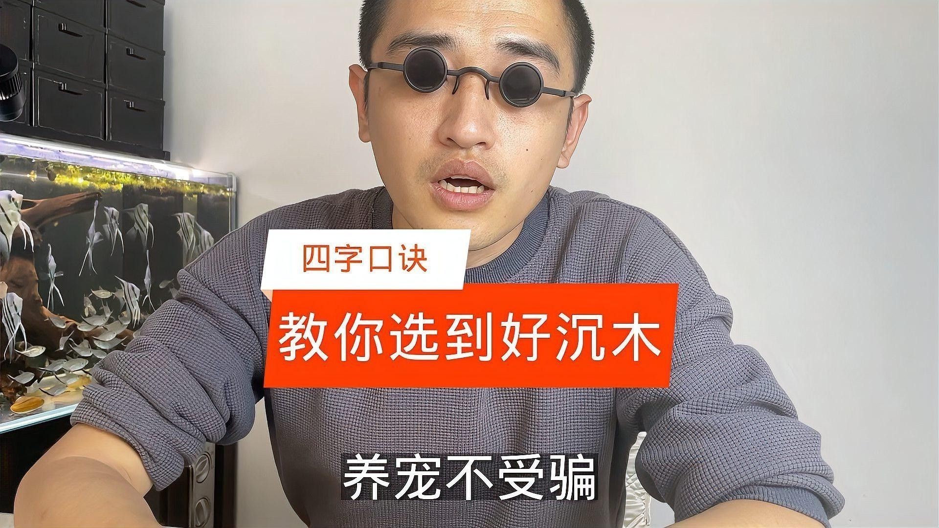 如何挑選高質量的龍魚缸沉木（如何挑選一個令自己驚艷的魚缸之沉木）