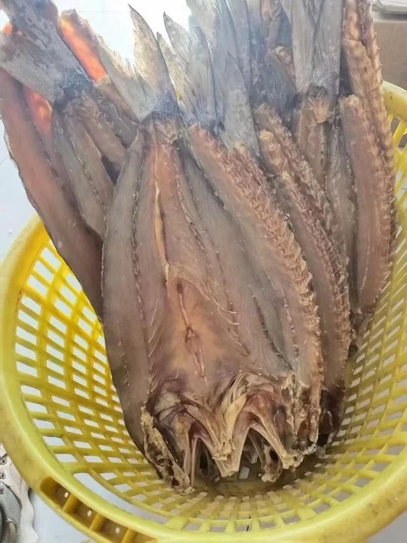 哪里可以找到更多馬古龍魚圖片（如何找到馬古龍魚圖片）