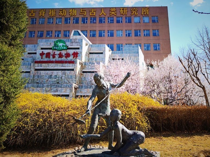 哪里可以找到更多馬古龍魚圖片（如何找到馬古龍魚圖片）