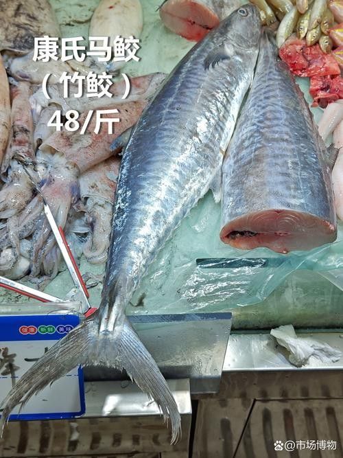 哪里可以找到更多馬古龍魚圖片（如何找到馬古龍魚圖片）