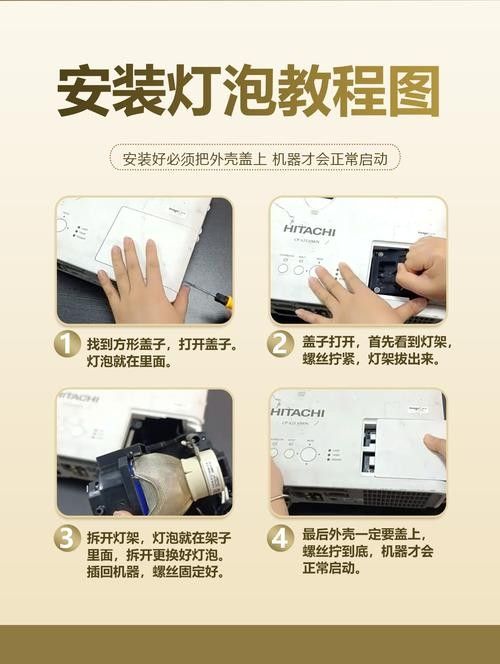 如何預防紅眼恐龍魚疾?。A防紅眼恐龍魚疾病的建議）