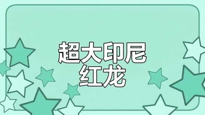 紅龍魚能長多大（紅龍魚的壽命多長）