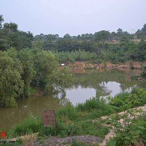 龍魚垂釣園是否真實存在（福建男子釣魚發現野生龍魚垂釣園） 龍魚垂釣園是否真實存在（福建男子釣魚發現野生龍魚垂釣園） 龍魚百科