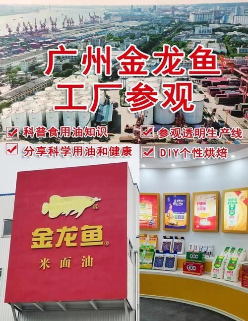 南昌金龍魚碼頭營業時間（南昌市金龍魚碼頭營業時間及企業信息）