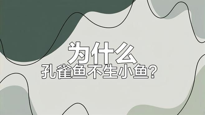 繁殖期間如何避免水溫波動(dòng)？（孔雀魚(yú)繁殖季節(jié)注意事項(xiàng)） 繁殖期間如何避免水溫波動(dòng)？（孔雀魚(yú)繁殖季節(jié)注意事項(xiàng)） 龍魚(yú)百科 第3張