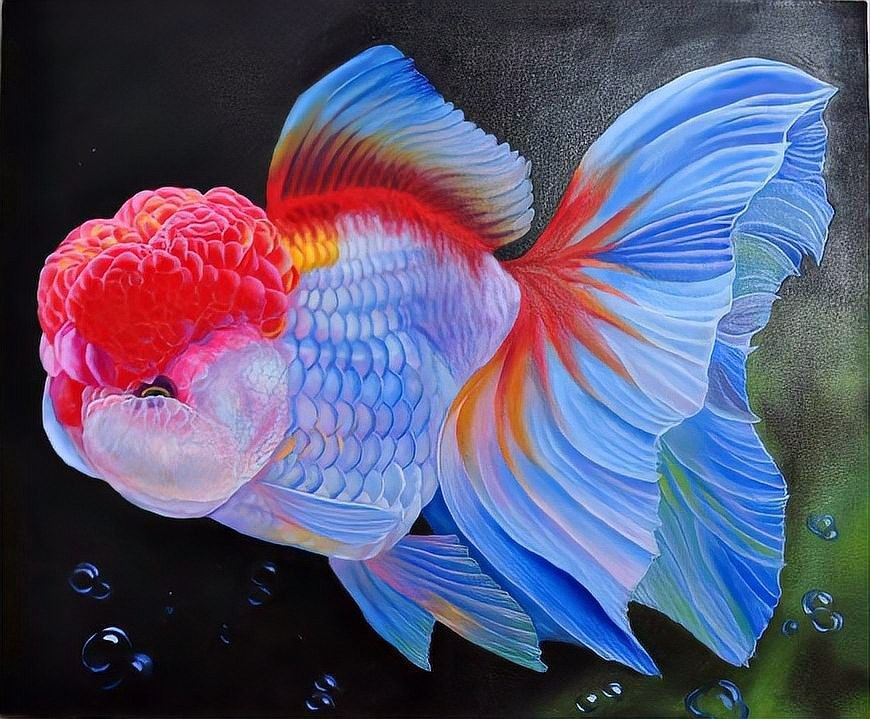 繁殖期間如何避免水溫波動(dòng)？（孔雀魚(yú)繁殖季節(jié)注意事項(xiàng)） 繁殖期間如何避免水溫波動(dòng)？（孔雀魚(yú)繁殖季節(jié)注意事項(xiàng)） 龍魚(yú)百科 第7張
