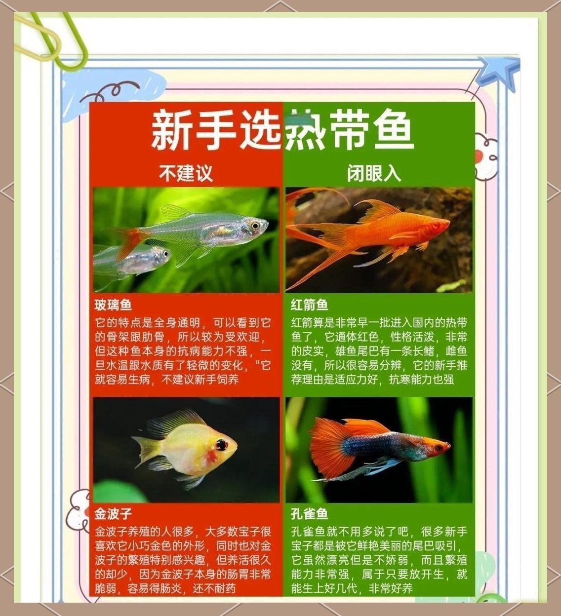 繁殖期間如何避免水溫波動(dòng)？（孔雀魚(yú)繁殖季節(jié)注意事項(xiàng)） 繁殖期間如何避免水溫波動(dòng)？（孔雀魚(yú)繁殖季節(jié)注意事項(xiàng)） 龍魚(yú)百科 第8張