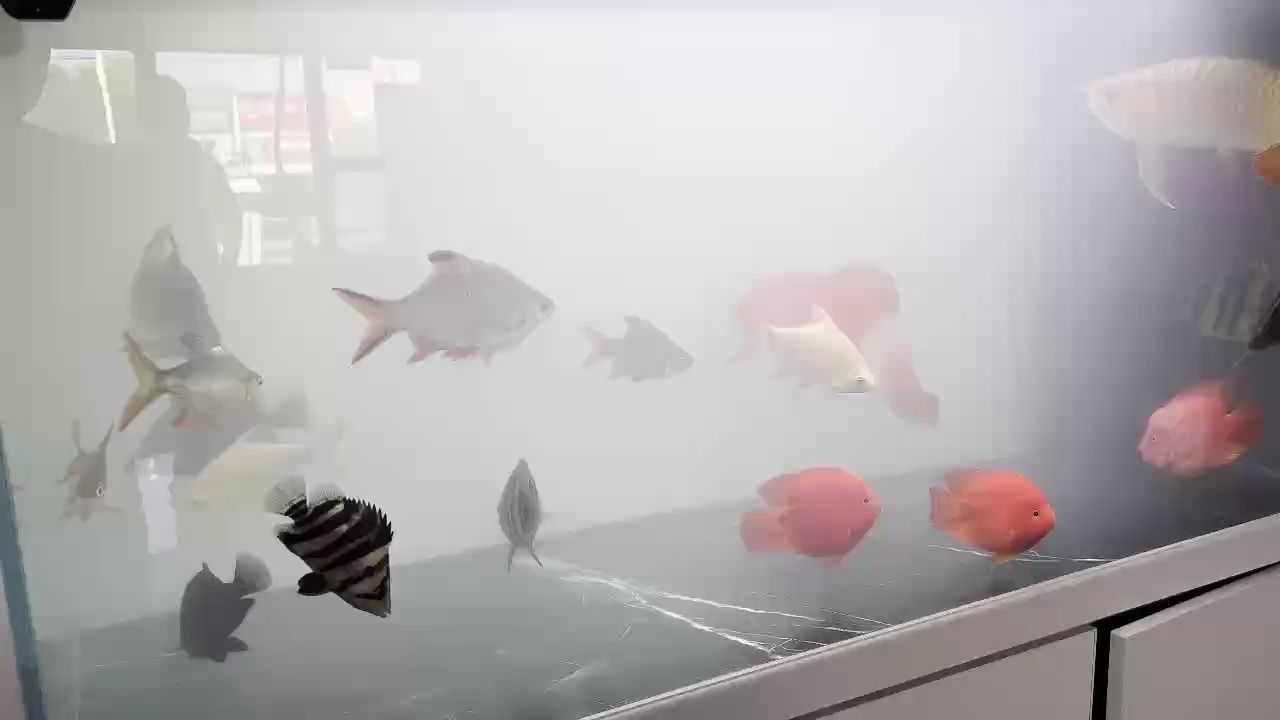 仙氣飄飄…（“仙氣飄飄”現象在現代社會中的應用）