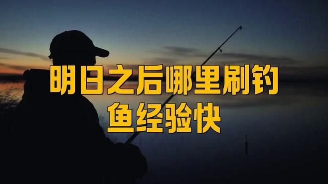 茅斯沼澤還有哪些釣魚點？（明日之后茅斯沼澤釣魚技巧大揭秘明日之后各地圖釣魚技巧大揭秘）