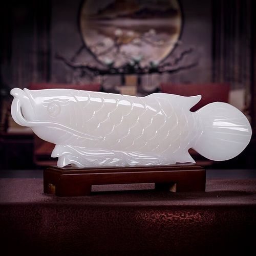 白玉龍魚的最佳混養(yǎng)伙伴有哪些（新手養(yǎng)龍魚，選擇合適的混養(yǎng)伙伴不僅能豐富其生活，還能提升觀賞價值）