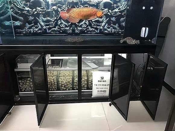 底濾缸多久清洗一次（底濾缸清洗頻率大揭秘）