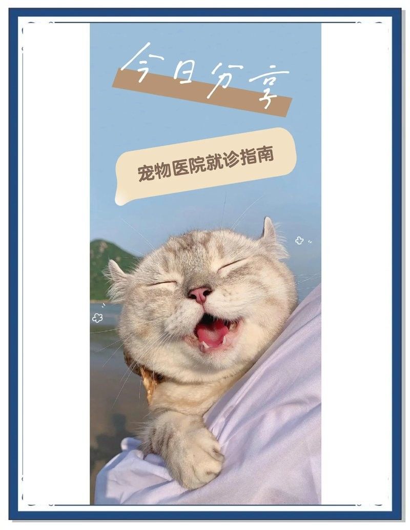 龍貓就醫前需要做什么準備（六一媽媽de時光機搞好龍貓就醫前的準備步驟）