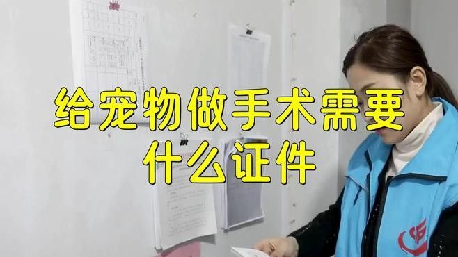 龍貓就醫前需要做什么準備（六一媽媽de時光機搞好龍貓就醫前的準備步驟）