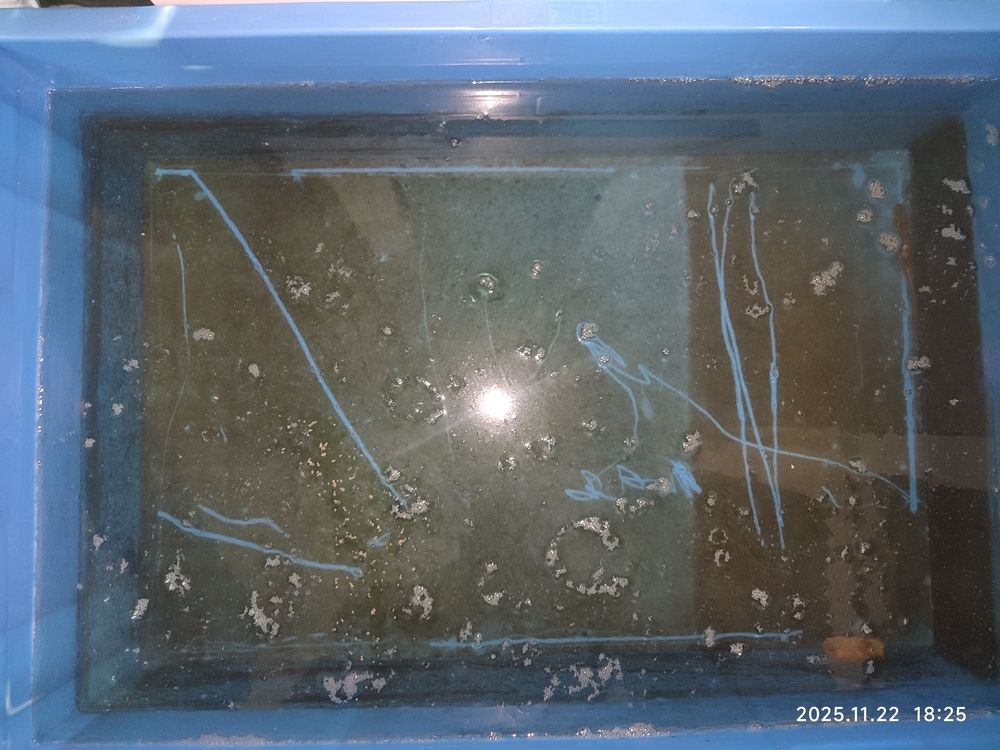 換水（換水對水質的影響以及管理策略）