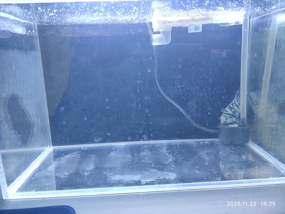 換水（換水對水質(zhì)的影響及其管理策略）