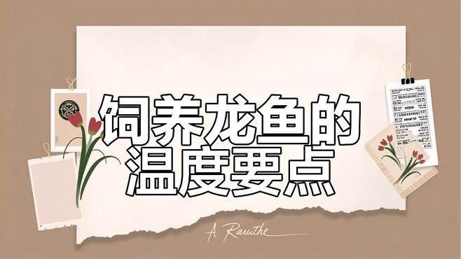 龍魚溫度波動后的急救措施（龍魚溫度波動后應采取的急救措施）