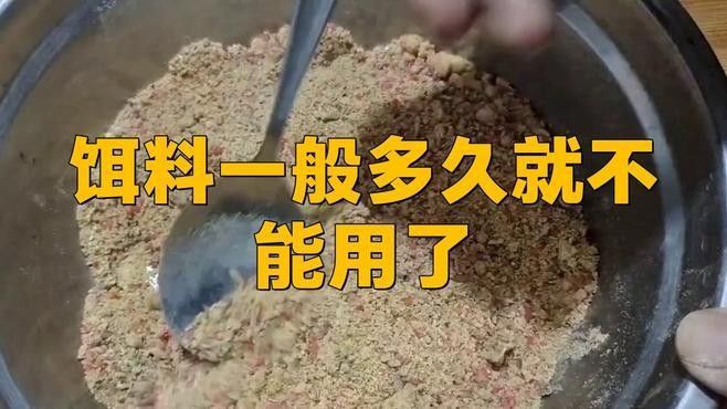 雷龍魚餌料多久更換一次（雷龍魚的餌料更換頻率） 雷龍魚餌料多久更換一次（雷龍魚的餌料更換頻率） 龍魚百科 第7張