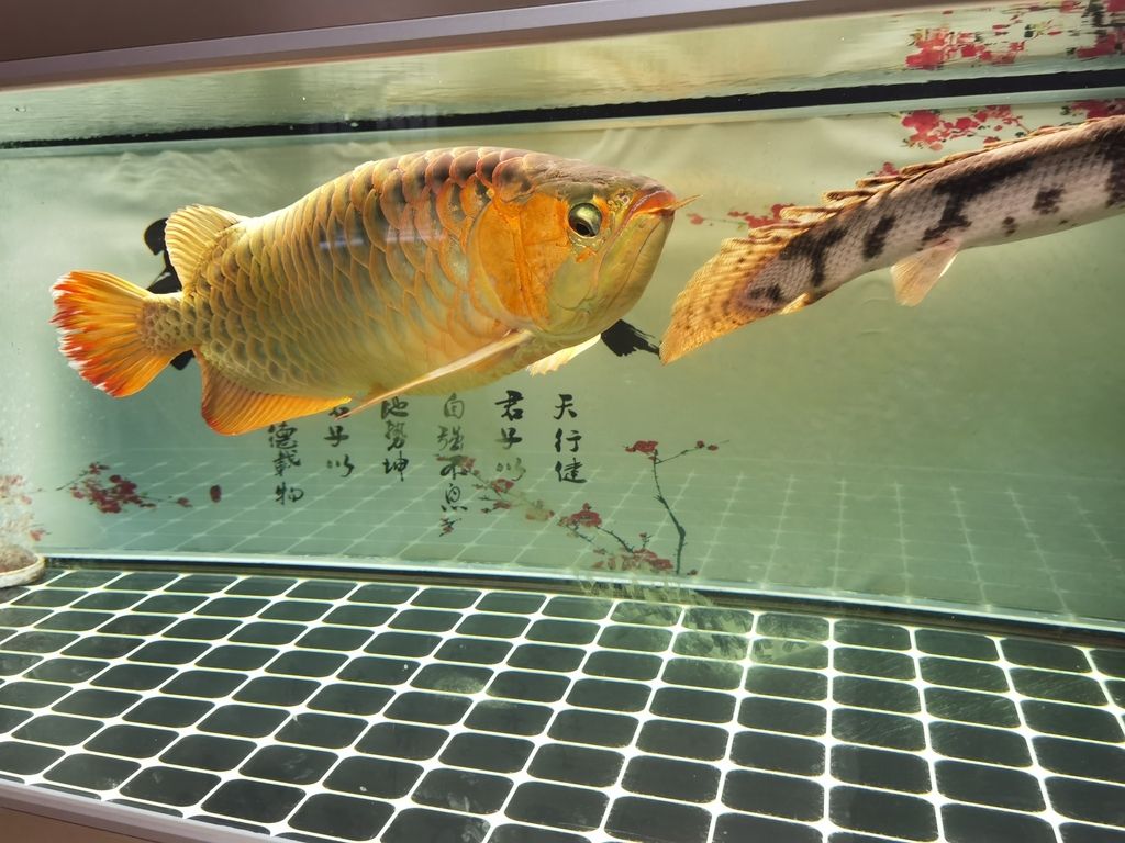（文章呼吁社會各界共同努力以確保科技發(fā)展能夠造福全人類）