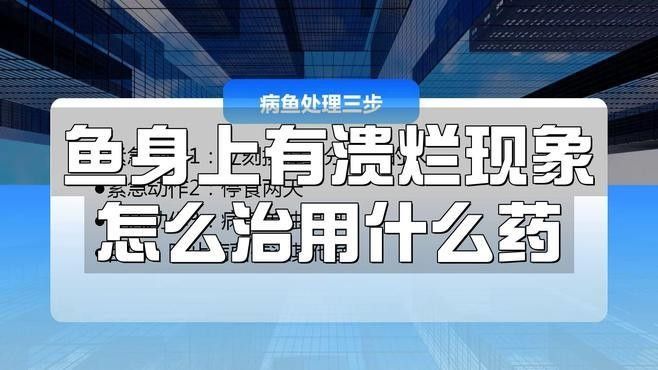 龍魚感染潰爛后應該如何治療（寵博士，魚身上有潰爛現象怎么治）