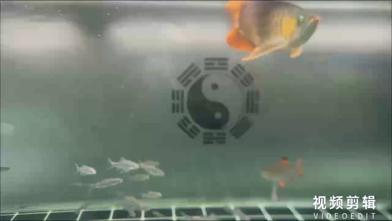 每天打卡（每天打卡是一種有效的自我管理工具）