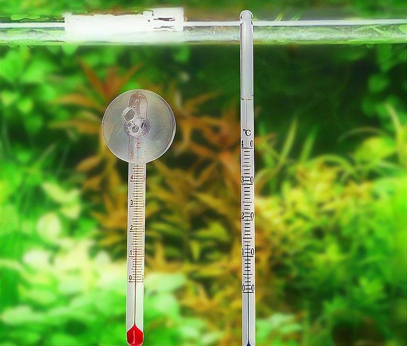 如何判斷魚缸溫度計是否需要校準（新買的魚缸溫度計怎么校準）
