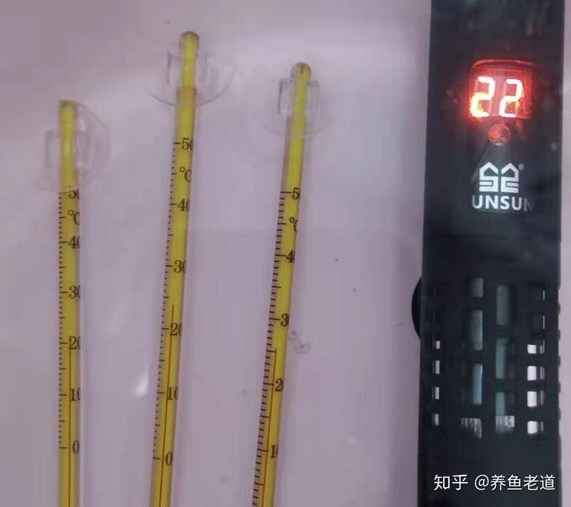 如何判斷魚缸溫度計是否需要校準（新買的魚缸溫度計怎么校準）