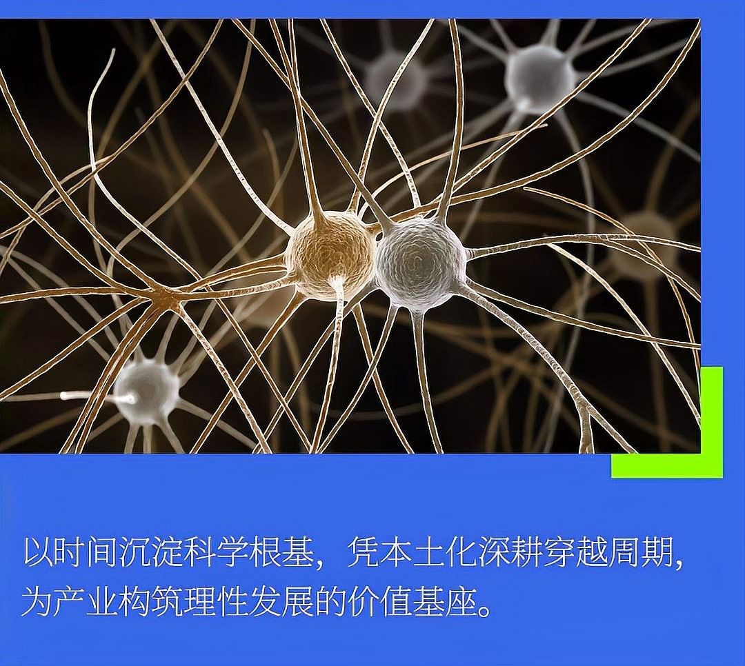 百因美黑水素的價格是多少？（百因美黑水素價格變動情況周報(250928）