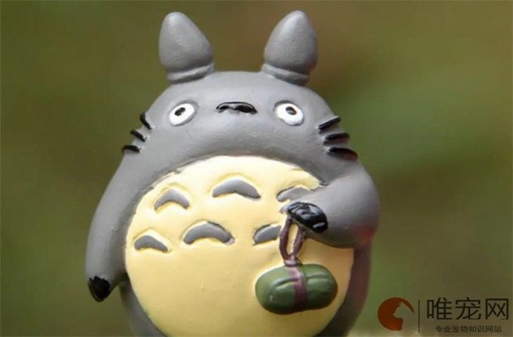 龍貓牙齒過長會怎樣（龍貓牙齒過長會導(dǎo)致咀嚼困難，）