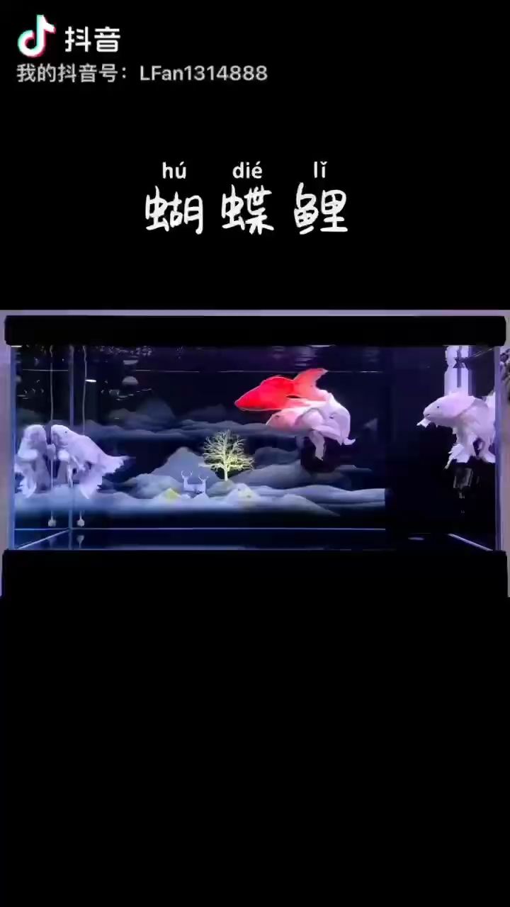 哈哈（——未來數字藝術的發(fā)展機遇）