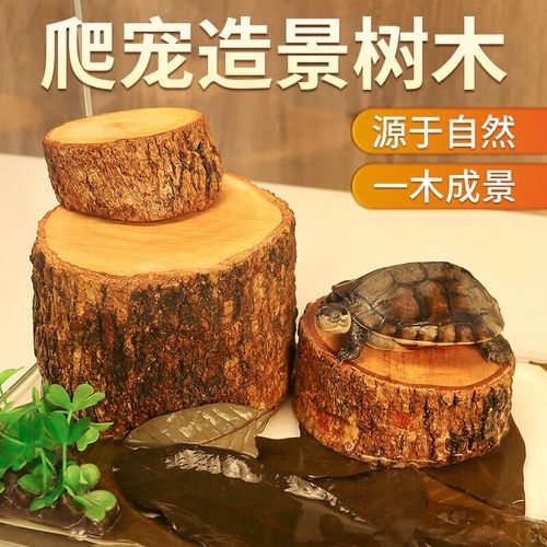 推薦幾款適合混養(yǎng)的曬臺(tái)（三款適合混養(yǎng)的曬臺(tái)推薦）