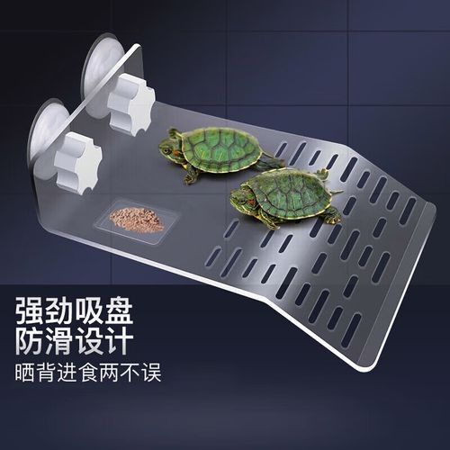 推薦幾款適合混養(yǎng)的曬臺(tái)（三款適合混養(yǎng)的曬臺(tái)推薦）