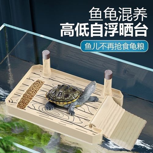推薦幾款適合混養(yǎng)的曬臺(tái)（三款適合混養(yǎng)的曬臺(tái)推薦）