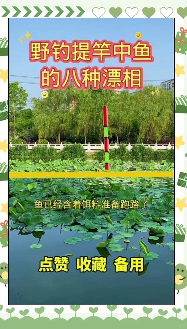 如何判斷龍魚是否上鉤？（-上鉤的龍魚是否上鉤和觀察龍魚的關鍵點）