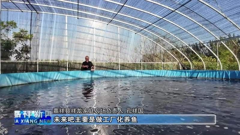 泉港哪個水族館龍魚好？祥龍魚場龍魚（祥龍魚場龍魚品質和服務的簡要分析）