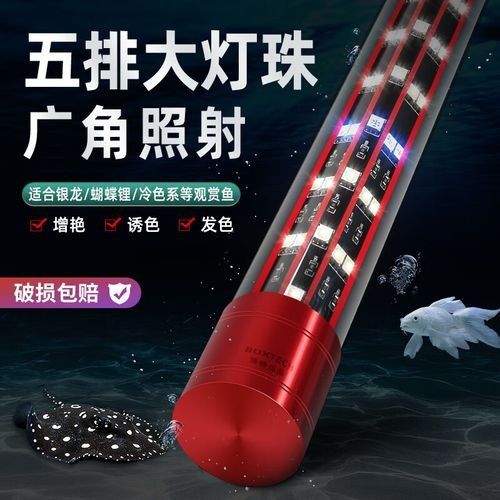 如何選擇適合龍魚的誘色燈（適合龍魚的誘色燈是確保它們健康和活躍的關鍵因素之一）