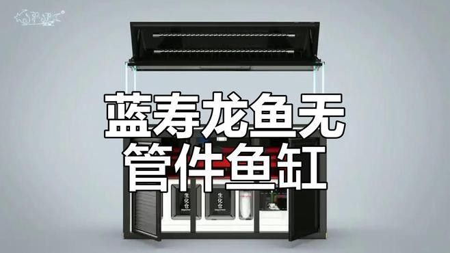 藍龍魚需要多大的魚缸（關于藍龍魚魚缸大小的一些建議）